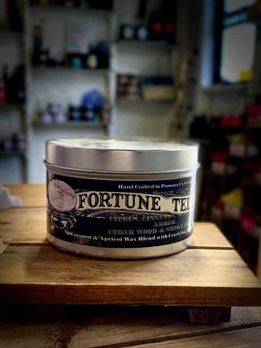 Fortune Teller candle ~ fresh sage, tonka, cinnamon and smoking embers~